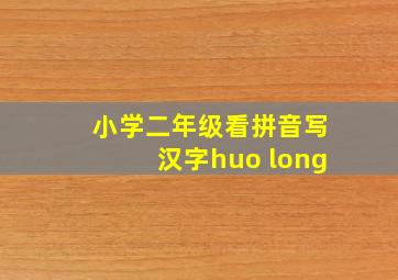 小学二年级看拼音写汉字huo long